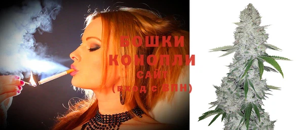 apvp Белокуриха
