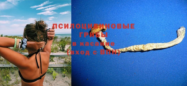 apvp Белокуриха