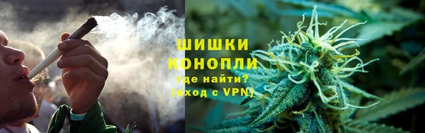 apvp Белокуриха