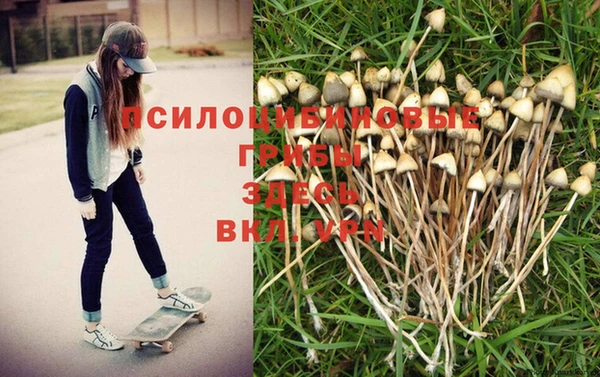гидропоника Беломорск