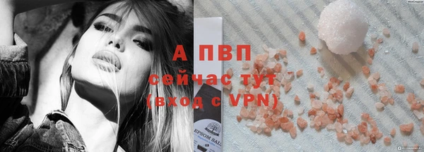 apvp Белокуриха