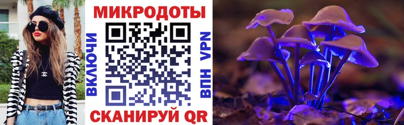дарнет шоп  Кушва  Псилоцибиновые грибы прущие грибы 